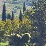 Aurinia Saturnia