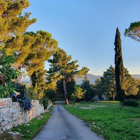 Appartement Aurinia
